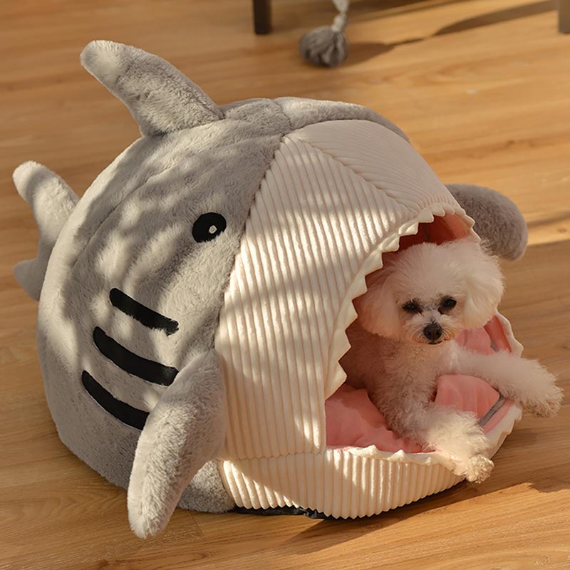 Shark's Jaw - Cushiony Indoor Cat Cave House