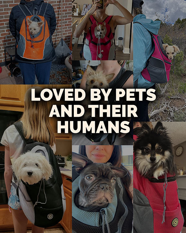 The Voyager - Dog Backpack Carrier - For Small/Medium Pets