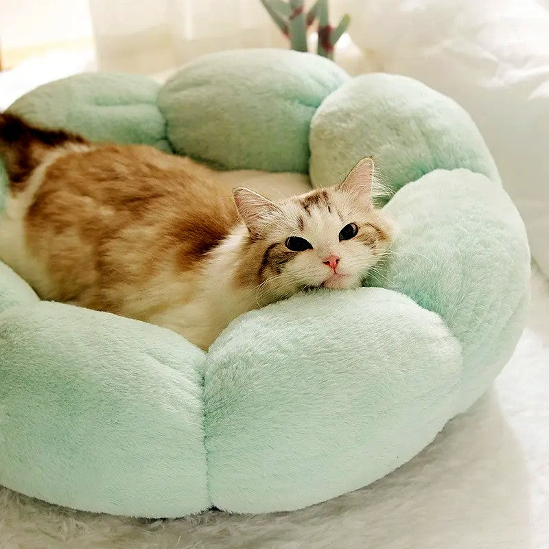 Flower - Fluffy & Cushy Warm Indoor Cat Bed