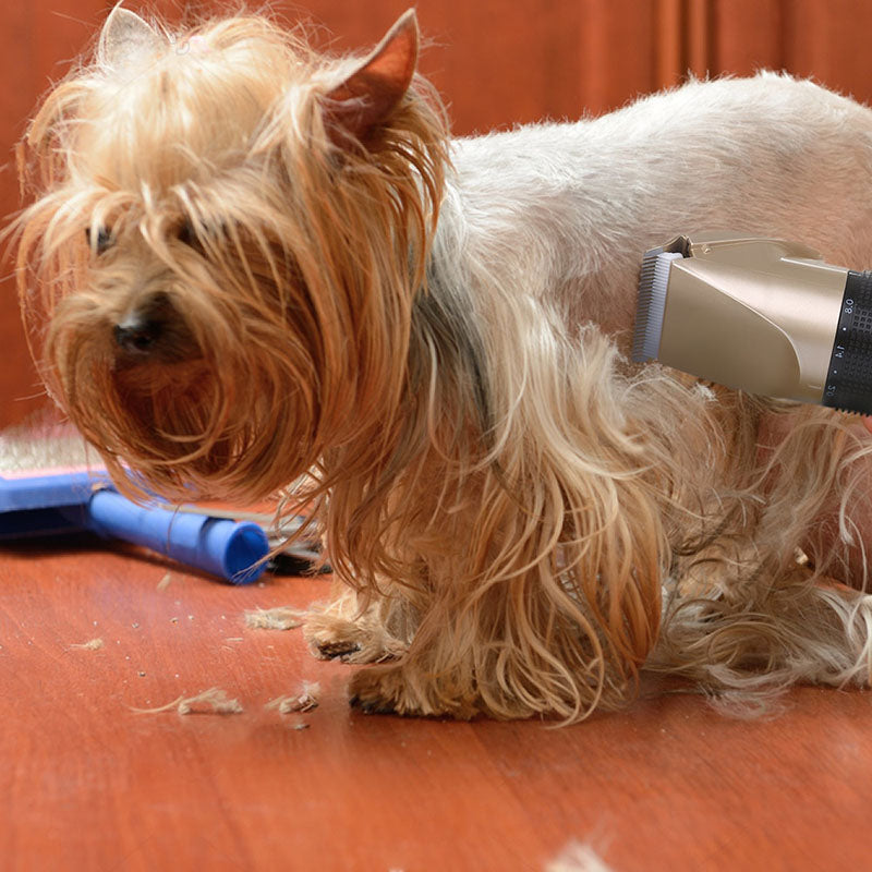 ClipMyPaws™ A60 - Upgraded - The World's Quietest Pet Hair Clipper