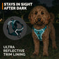 Swift Tail No-Pull Pet Harness & Leash Set - For Small/Medium Pets