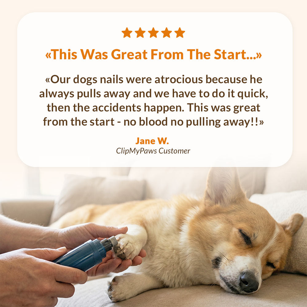 The Original PetGRINDX™ Painless Pet Nail Grinder