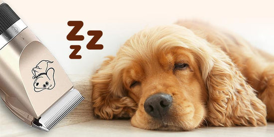 Silent and Stress-Free: The Best Dog Clippers for Peaceful Grooming