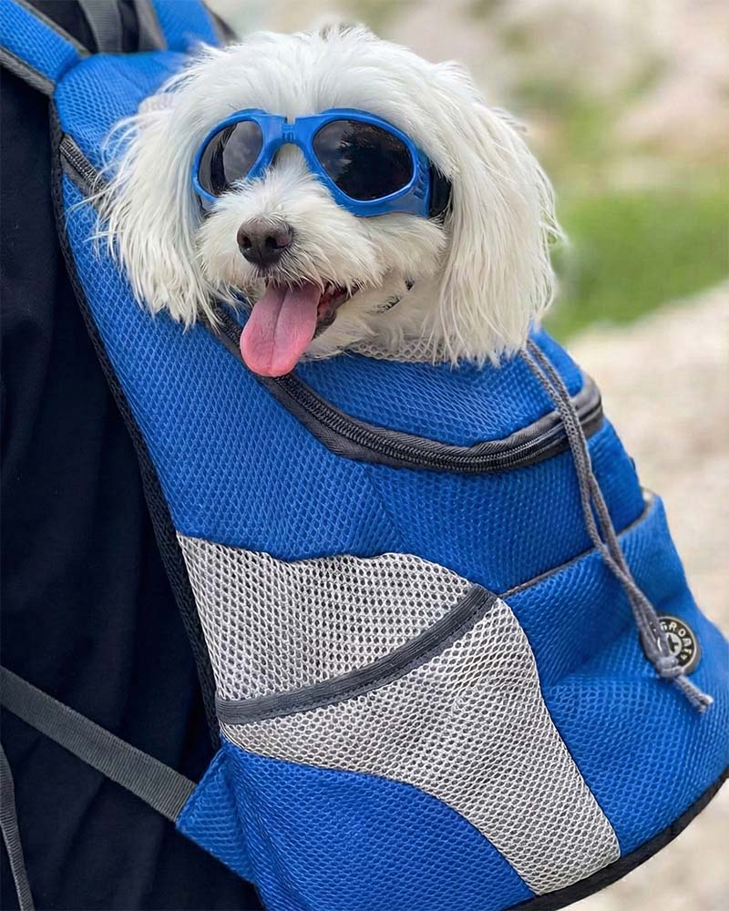 The Voyager - Dog Backpack Carrier - For Small/Medium Pets
