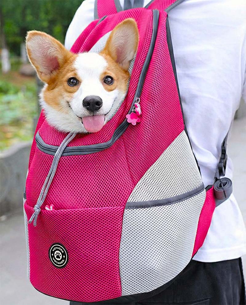 The Voyager - Dog Backpack Carrier - For Small/Medium Pets