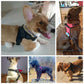 WonderHarness™ No-Pull Dog Harness